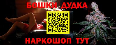 МДПВ Новодвинск
