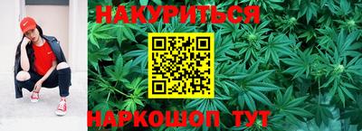 МДПВ Новодвинск