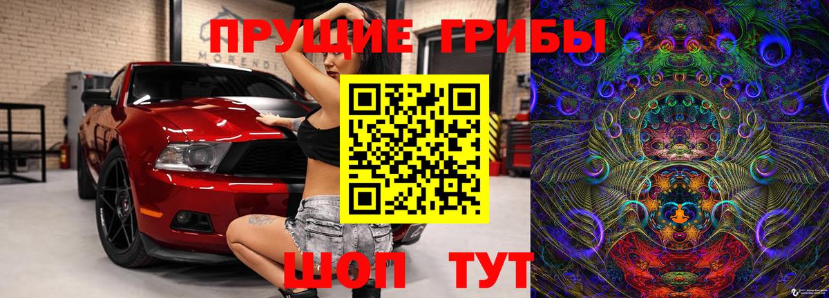 Псилоцибиновые грибы Cubensis  Вход с VPN  Холмск 